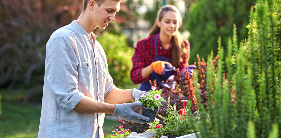 Tuin klaar voor het nieuwe seizoen?